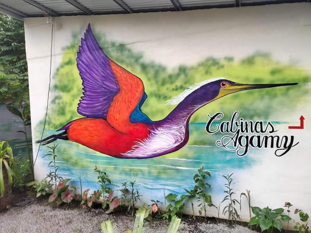 Cabinas Agamy Тортугеро Экстерьер фото