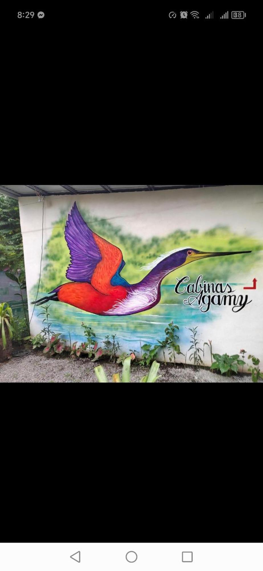 Cabinas Agamy Тортугеро Экстерьер фото